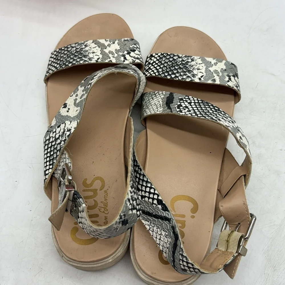 Circus by Sam Edelman Snakeskin Sandals Size 9 MCS4998C